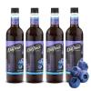imageDaVinci Gourmet SugarFree French Vanilla Syrup 254 Fl Oz Pack of 4Blueberry
