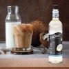 imageDaVinci Gourmet SugarFree French Vanilla Syrup 254 Fl Oz Pack of 4Coconut