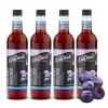 imageDaVinci Gourmet SugarFree French Vanilla Syrup 254 Fl Oz Pack of 4Huckleberry