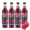imageDaVinci Gourmet SugarFree French Vanilla Syrup 254 Fl Oz Pack of 4Raspberry
