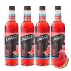 imageDaVinci Gourmet SugarFree French Vanilla Syrup 254 Fl Oz Pack of 4Watermelon