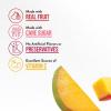 imageDaVinci Gourmet Wildberry Blast Smoothie 48 Fluid Ounces Pack of 1Mango