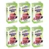 imageDaVinci Gourmet Mango Mania Smoothie 64 Fluid Ounce Pack of 6Wildberry Blast