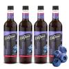 image:imageDaVinci Gourmet Classic Orange Syrup 254 Fluid Ounces Pack of 1Blueberry