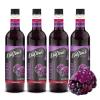 image:imageDaVinci Gourmet Classic Orange Syrup 254 Fluid Ounces Pack of 1Boysenberry