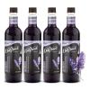 image:imageDaVinci Gourmet Classic Orange Syrup 254 Fluid Ounces Pack of 1Lavender