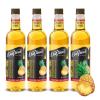 image:imageDaVinci Gourmet Classic Orange Syrup 254 Fluid Ounces Pack of 1Pineapple