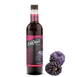 image:imageDaVinci Gourmet Classic Orange Syrup 254 Fluid Ounces Pack of 1Blackberry