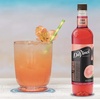 image:imageDaVinci Gourmet Grape Syrup 254 Fluid Ounces Pack of 1Guava