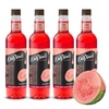 image:imageDaVinci Gourmet Grape Syrup 254 Fluid Ounces Pack of 1Guava
