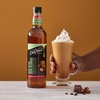 image:imageDaVinci Gourmet Grape Syrup 254 Fluid Ounces Pack of 1Irish Cream