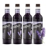 image:imageDaVinci Gourmet Grape Syrup 254 Fluid Ounces Pack of 1Lavender