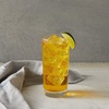 image:imageDaVinci Gourmet Grape Syrup 254 Fluid Ounces Pack of 1Passion Fruit