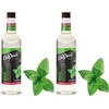 image:imageDaVinci Gourmet Grape Syrup 254 Fluid Ounces Pack of 1Peppermint