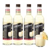 image:imageDaVinci Gourmet Grape Syrup 254 Fluid Ounces Pack of 1Pina Colada