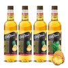 image:imageDaVinci Gourmet Grape Syrup 254 Fluid Ounces Pack of 1Pineapple