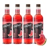 image:imageDaVinci Gourmet Grape Syrup 254 Fluid Ounces Pack of 1Watermelon