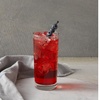 image:imageDaVinci Gourmet SugarFree Lavender Syrup 254 Fluid Ounces Pack of 1Huckleberry